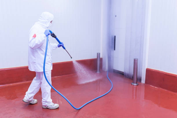 Best Pre-Holiday Cleaning  in Zolfo Springs, FL