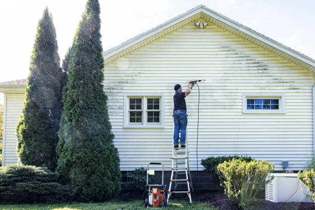 Best Dumpster Area Cleaning  in Zolfo Springs, FL